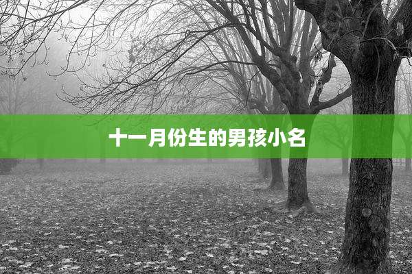 十一月份生的男孩小名