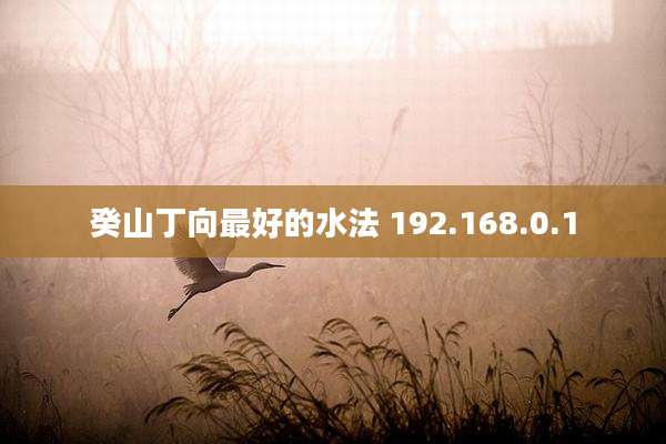 癸山丁向最好的水法 192.168.0.1