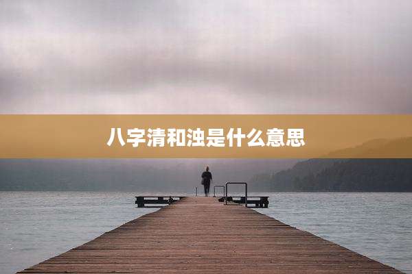 八字清和浊是什么意思