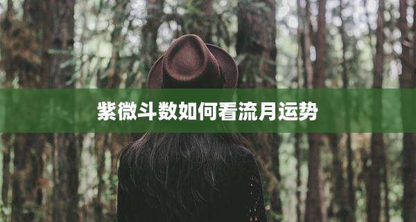 紫微斗数如何看流月运势
