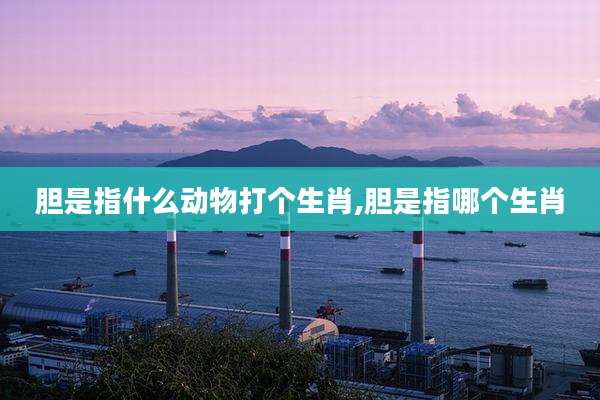 胆是指什么动物打个生肖,胆是指哪个生肖
