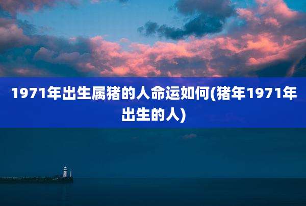 1971年出生属猪的人命运如何(猪年1971年出生的人)