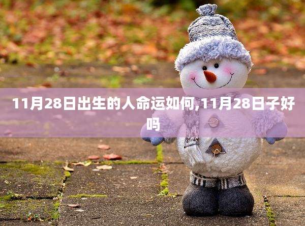 11月28日出生的人命运如何,11月28日子好吗