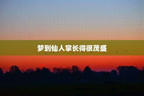 梦到仙人掌长得很茂盛