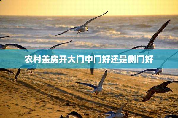 农村盖房开大门中门好还是侧门好