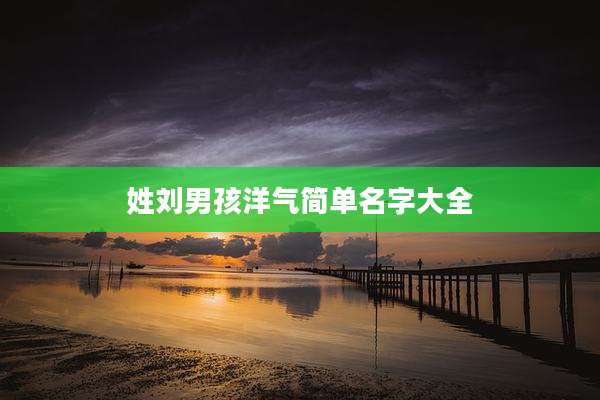 姓刘男孩洋气简单名字大全