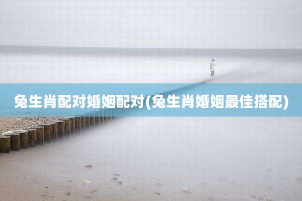 兔生肖配对婚姻配对(兔生肖婚姻最佳搭配)