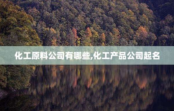 化工原料公司有哪些,化工产品公司起名