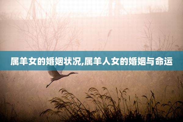属羊女的婚姻状况,属羊人女的婚姻与命运
