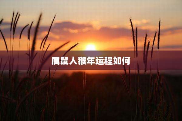 属鼠人猴年运程如何