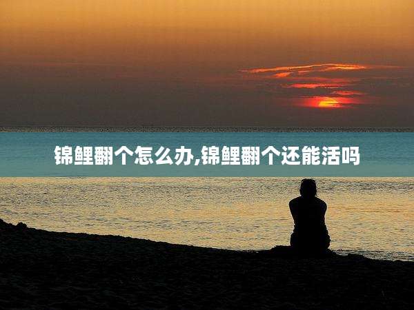 锦鲤翻个怎么办,锦鲤翻个还能活吗