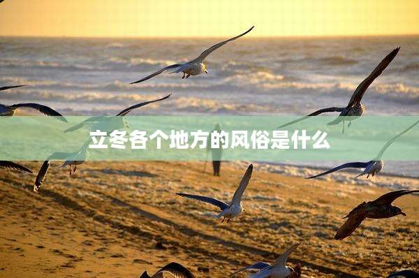 立冬各个地方的风俗是什么