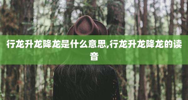 行龙升龙降龙是什么意思,行龙升龙降龙的读音