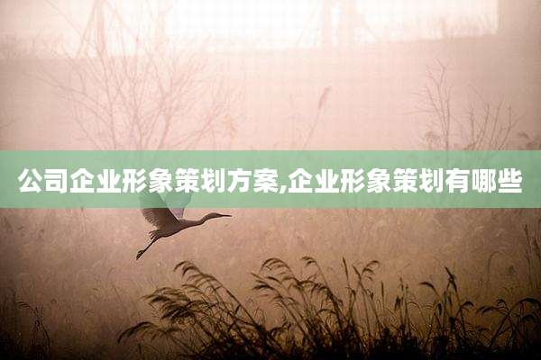 公司企业形象策划方案,企业形象策划有哪些