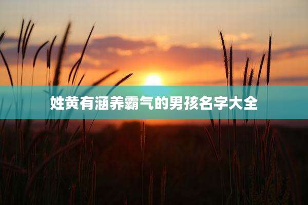 姓黄有涵养霸气的男孩名字大全
