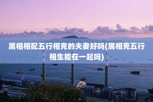 属相相配五行相克的夫妻好吗(属相克五行相生能在一起吗)
