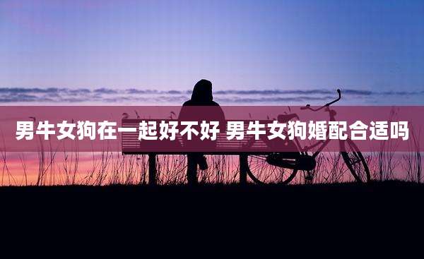 男牛女狗在一起好不好 男牛女狗婚配合适吗
