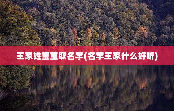 王家姓宝宝取名字(名字王家什么好听)