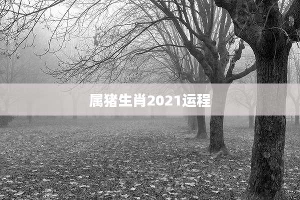 属猪生肖2021运程