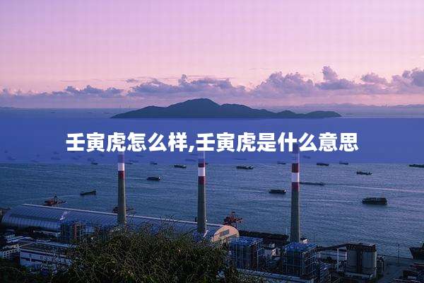 壬寅虎怎么样,壬寅虎是什么意思