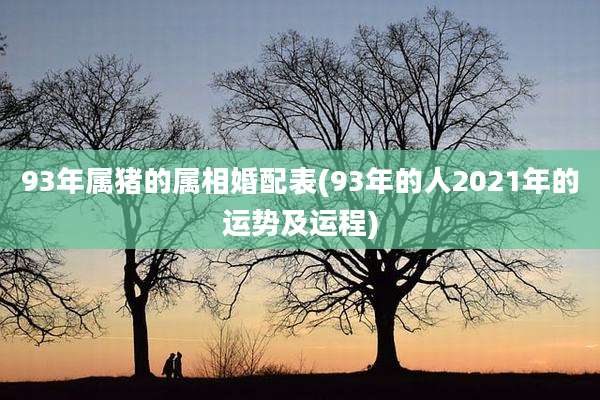93年属猪的属相婚配表(93年的人2021年的运势及运程)