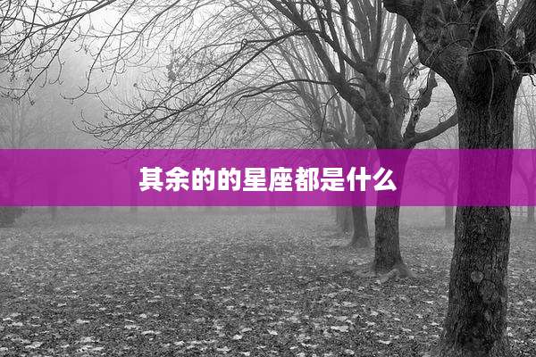 其余的的星座都是什么