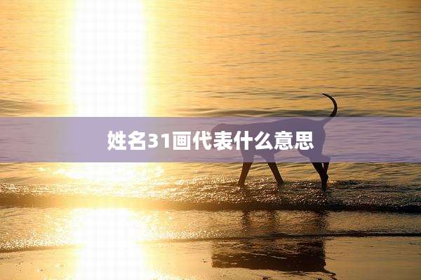 姓名31画代表什么意思