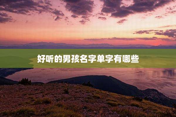 好听的男孩名字单字有哪些