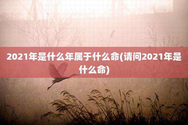 2021年是什么年属于什么命(请问2021年是什么命)