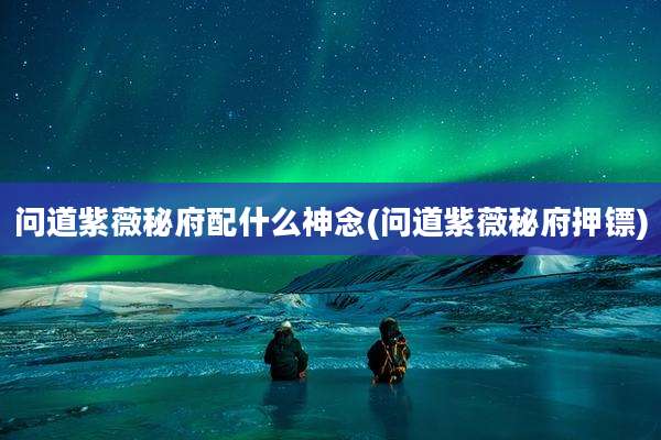 问道紫薇秘府配什么神念(问道紫薇秘府押镖)