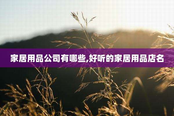 家居用品公司有哪些,好听的家居用品店名