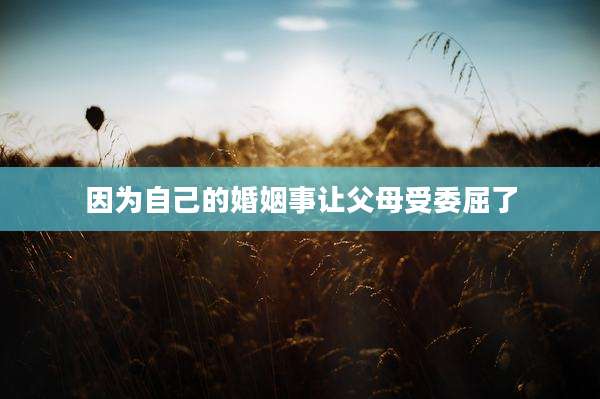 因为自己的婚姻事让父母受委屈了