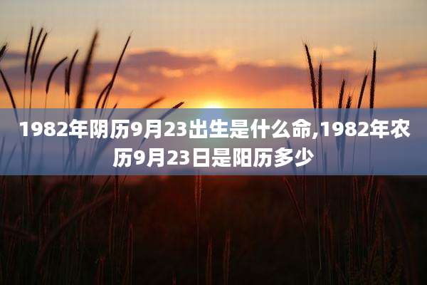 1982年阴历9月23出生是什么命,1982年农历9月23日是阳历多少