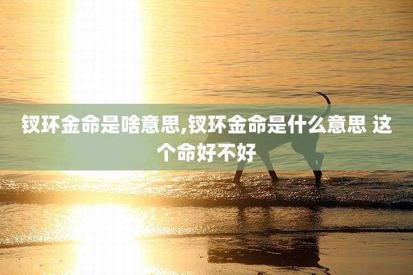 钗环金命是啥意思,钗环金命是什么意思 这个命好不好