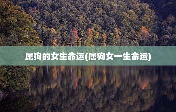 属狗的女生命运(属狗女一生命运)