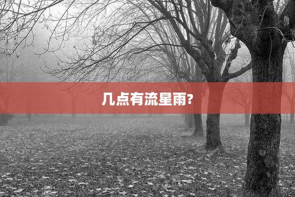几点有流星雨?