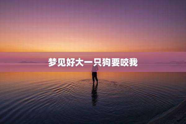 梦见好大一只狗要咬我