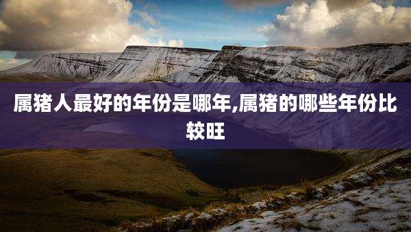 属猪人最好的年份是哪年,属猪的哪些年份比较旺