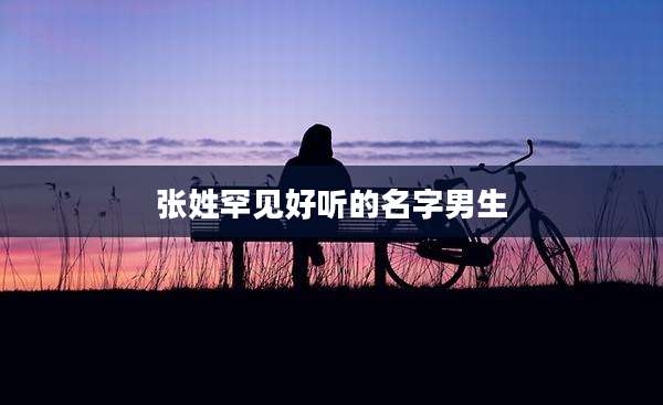 张姓罕见好听的名字男生