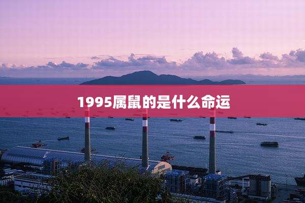 1995属鼠的是什么命运
