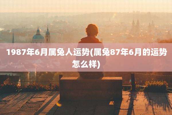 1987年6月属兔人运势(属兔87年6月的运势怎么样)