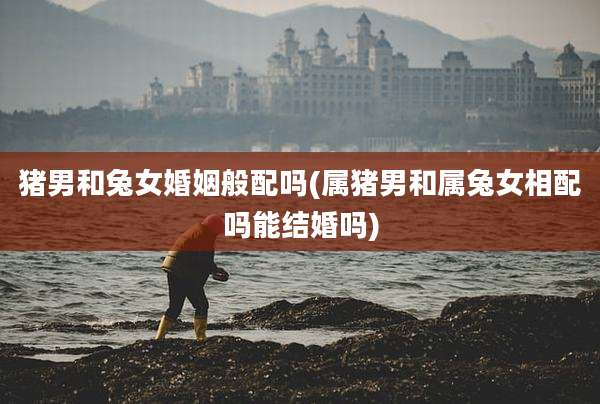 猪男和兔女婚姻般配吗(属猪男和属兔女相配吗能结婚吗)