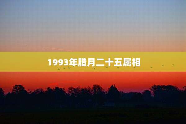 1993年腊月二十五属相