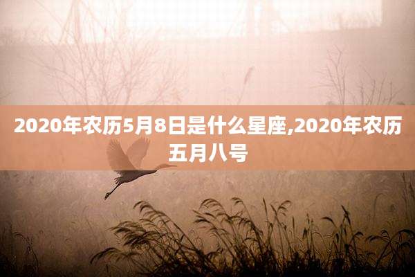 2020年农历5月8日是什么星座,2020年农历五月八号
