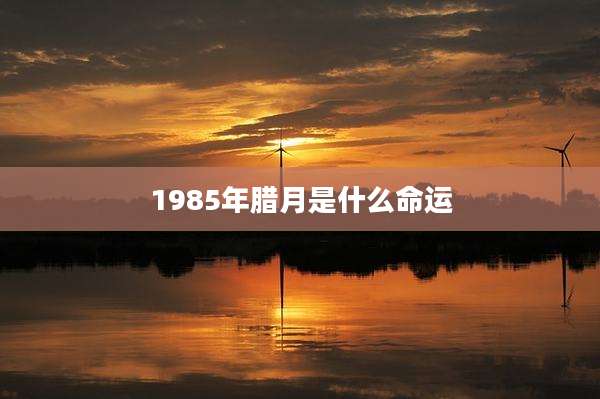 1985年腊月是什么命运