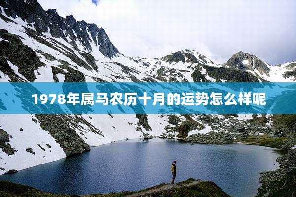 1978年属马农历十月的运势怎么样呢