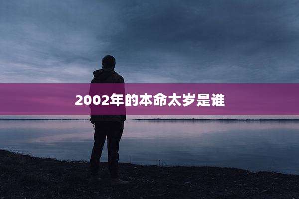 2002年的本命太岁是谁