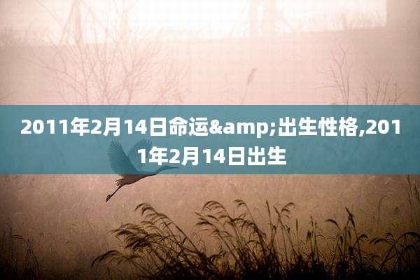 2011年2月14日命运&出生性格,2011年2月14日出生