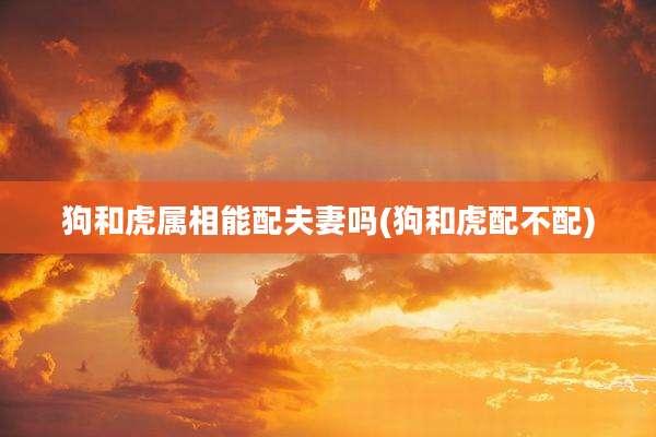 狗和虎属相能配夫妻吗(狗和虎配不配)