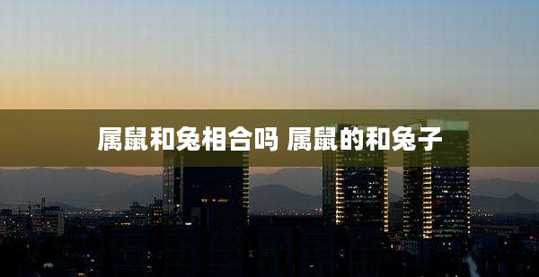 属鼠和兔相合吗 属鼠的和兔子